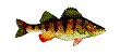Text Box:
