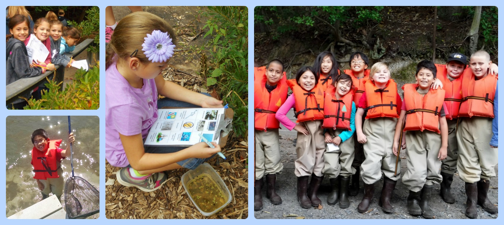 A collage of photos with students standing near a garden, holding a net, using a clipboard and standing with lifejackets on. 
