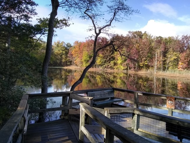 web Downs Park