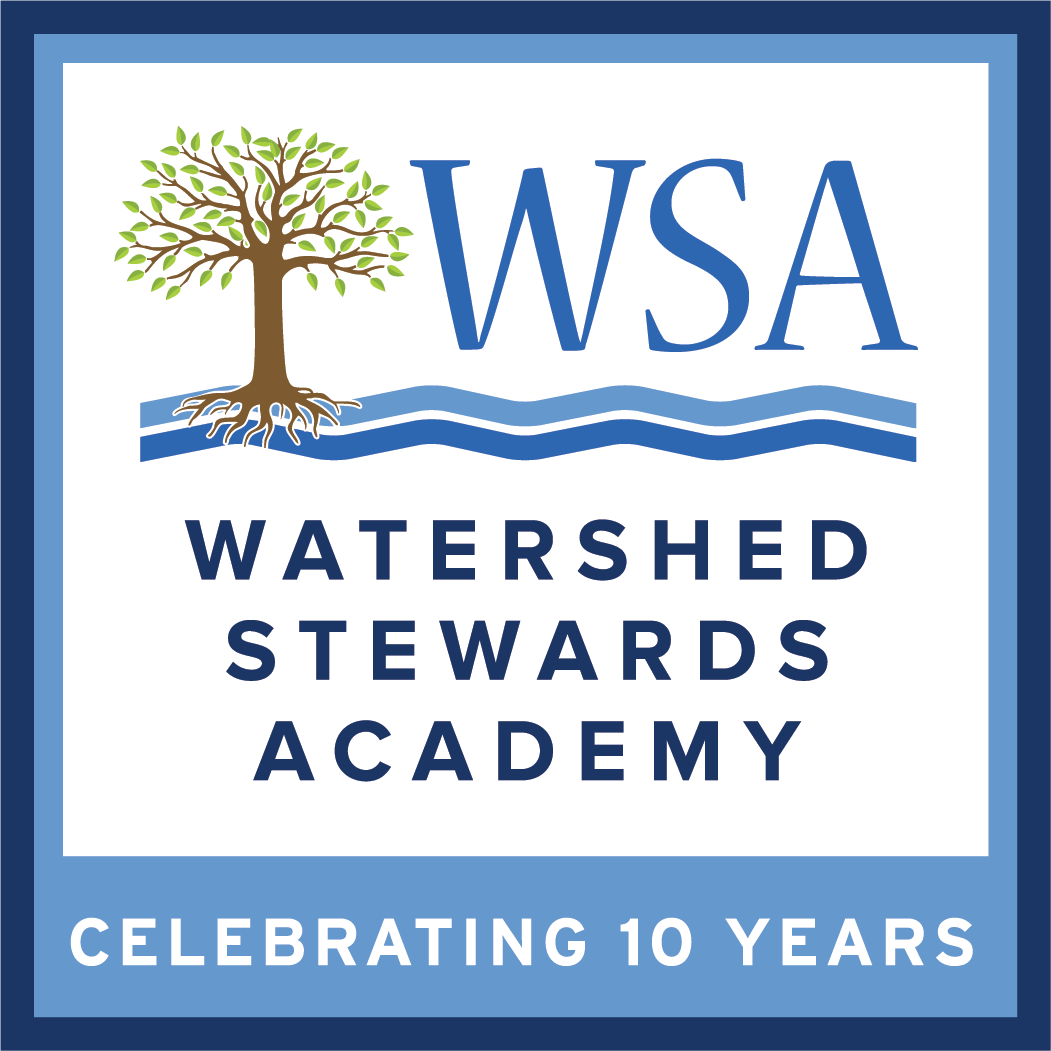 Final WSA Box Anniversary Logo