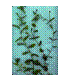 Text Box: