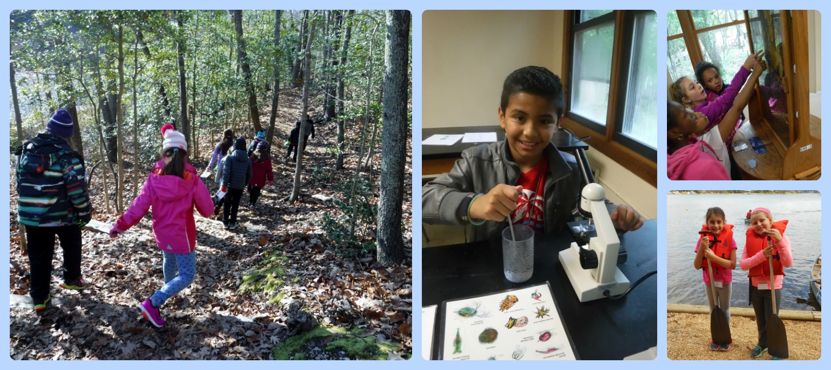 A collage of photos with students hiking, using microscopes, looking at bees and holding paddles. 
