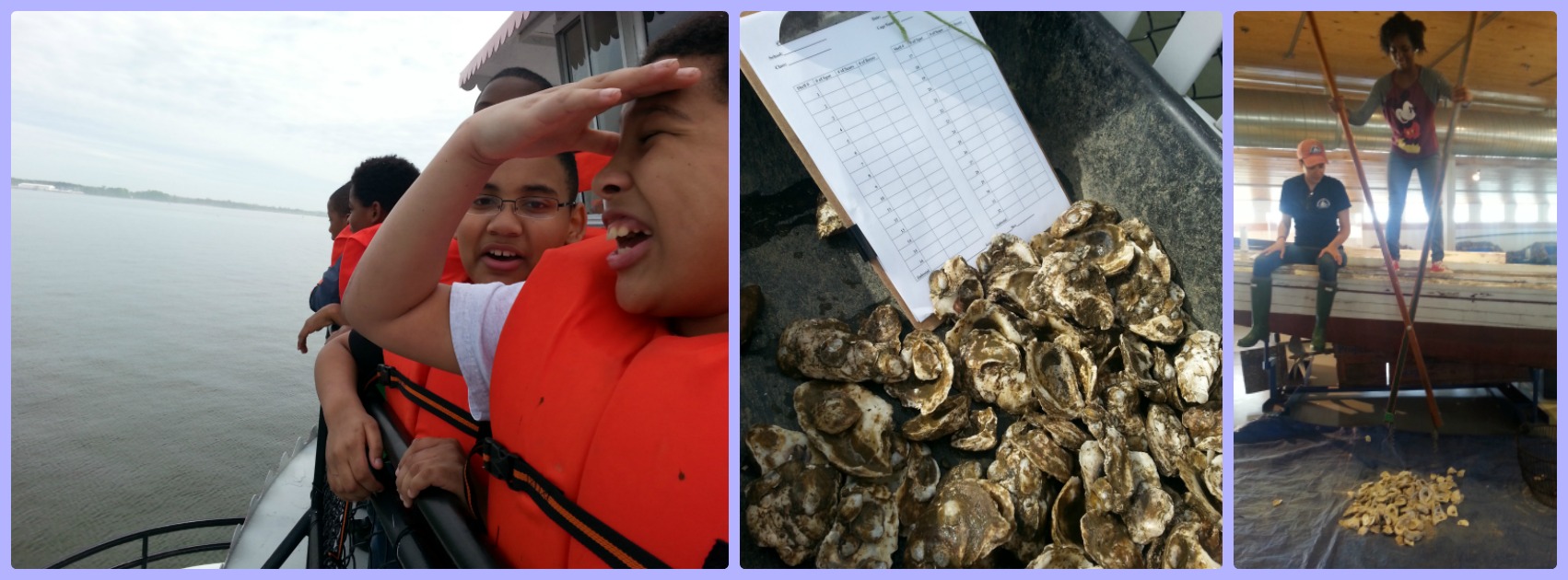 A collage of photos with students on a boat, a pile of oysters and a student tonging for oysters.