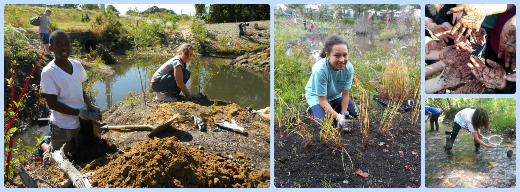 A collage of photos with students planting trees, planting grasses, holding a small net in a stream and many hands covered in dirt.