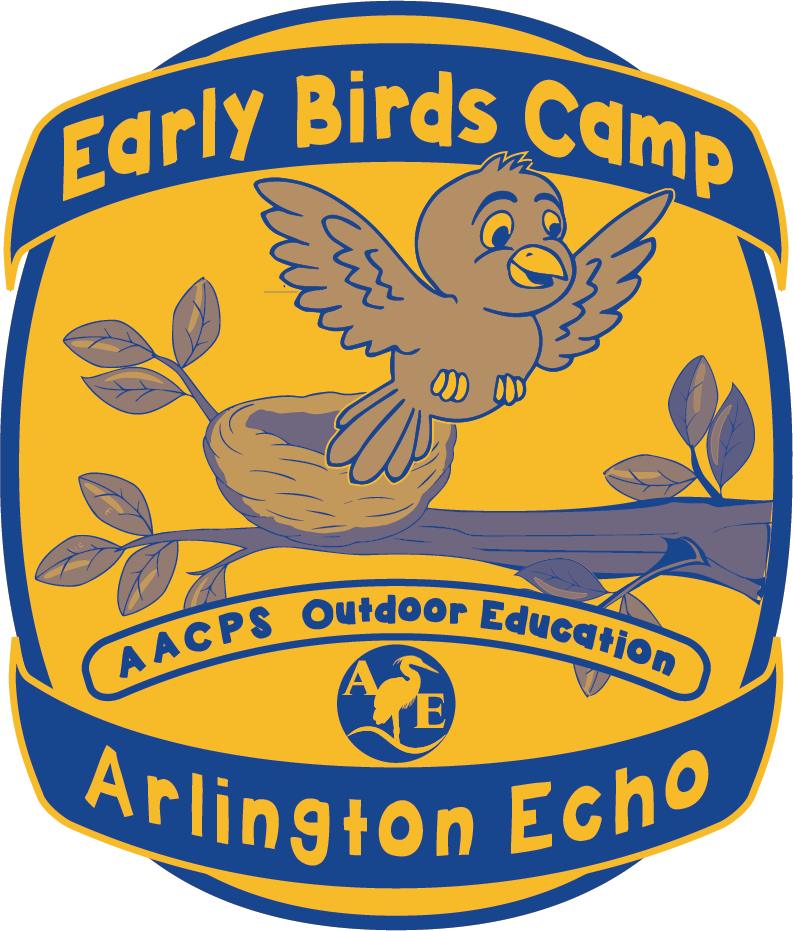 Early Birds