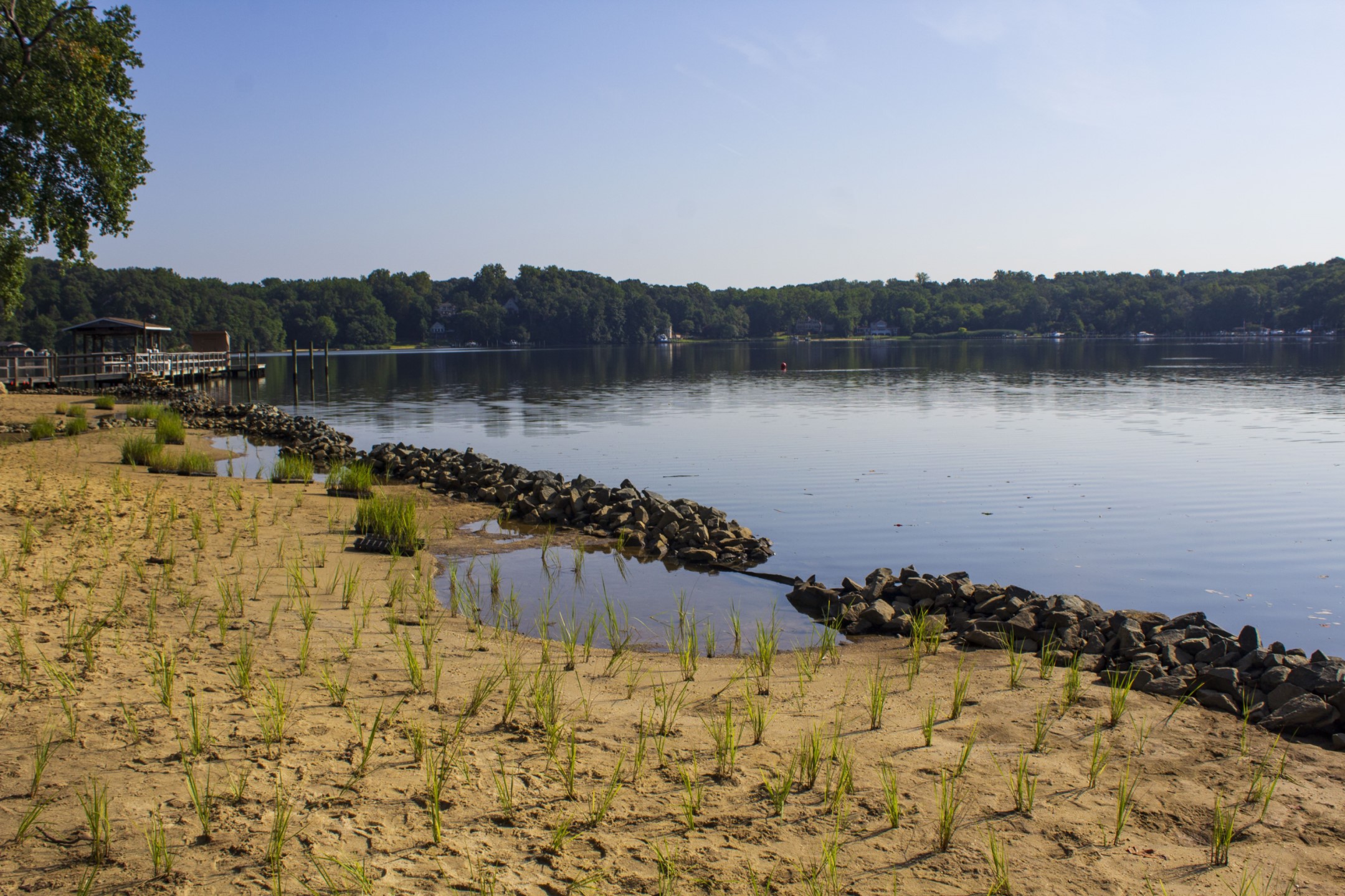 Copy of Arlington Echo Shoreline