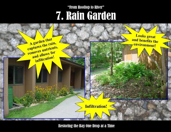 Rain_garden_SM