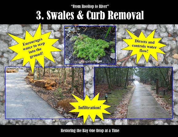Swale_and_curb_cut_SM