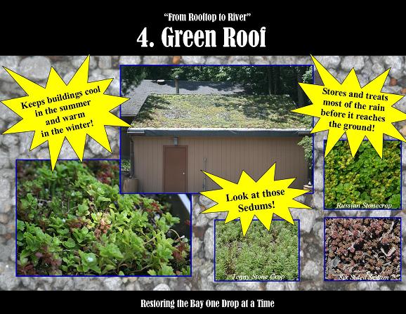 green_roof_SM
