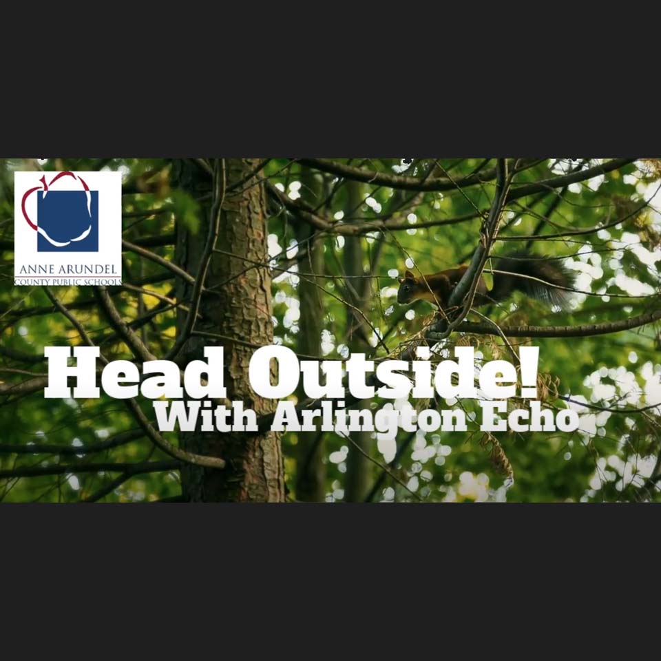 Head Outside with Arlington Echo