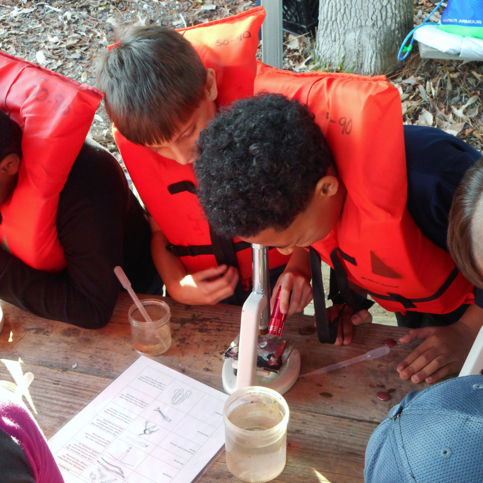 4th graders study water under a microscope, outside.