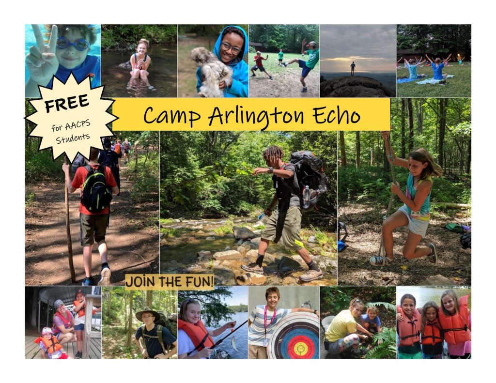A collage of photos with a camper swimming under water, sitting in the stream, holding a chicken, standing on a mountain, practicing yoga, hiking, hiking over rocks, swinging on a rope, wearing lifejackets, standing next to a tree, holding a fish, standing next to an archery target, planting a fern and wearing lifejackets. 