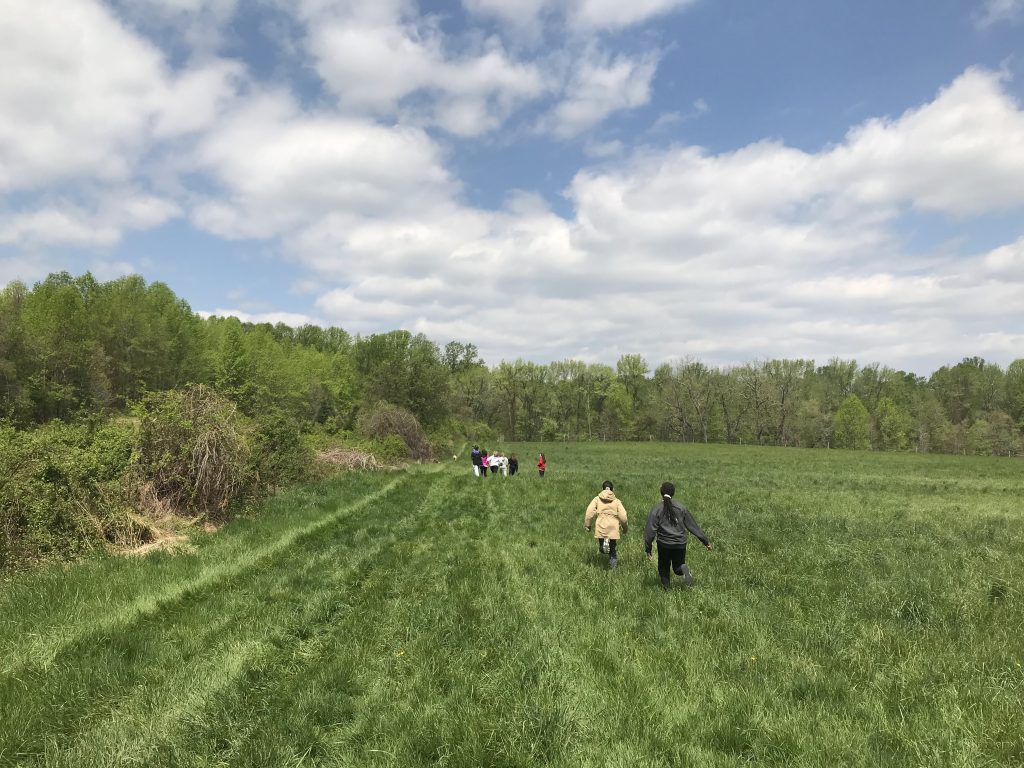 Students walking through a large field of grass. 