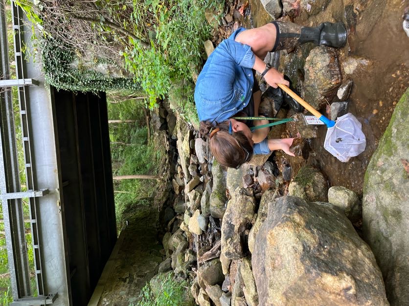 One students holding net standing in a rocky stream. 