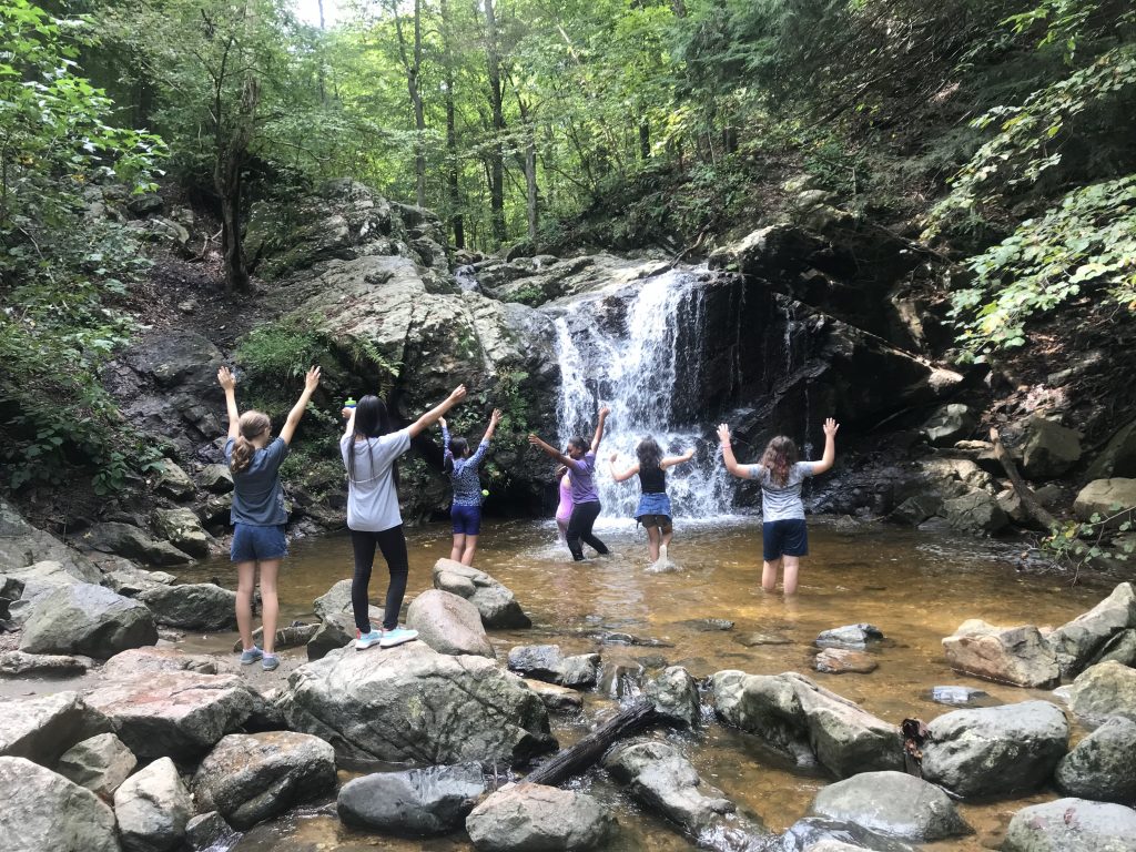 A group of students standing in front of a waterfall with their arms raised in excitement. 